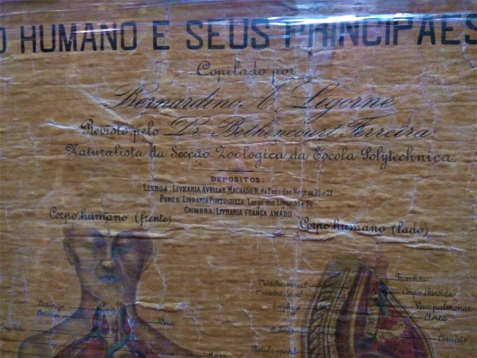 Imagem 3