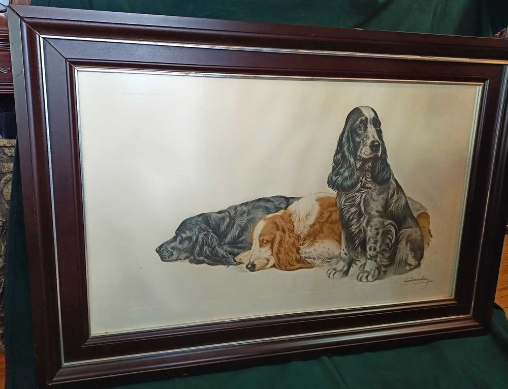 Gravura 3 Cocker Spaniels Léon Danchin