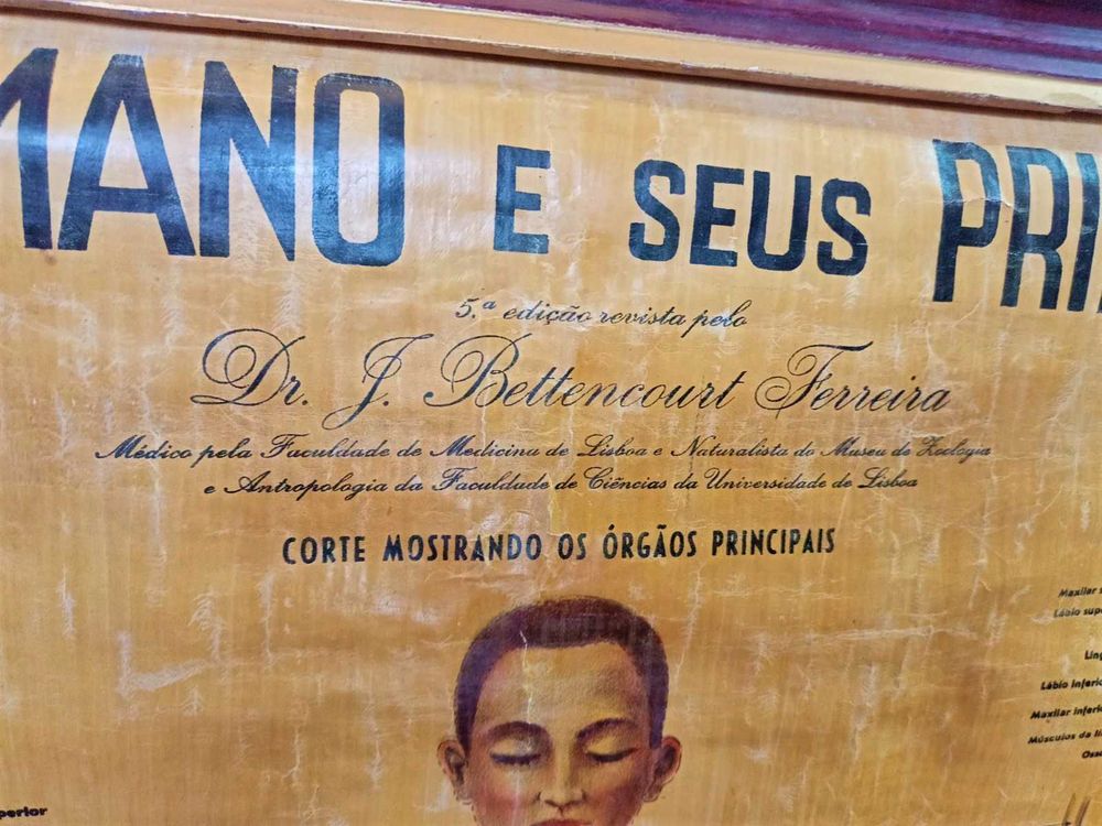 Imagem 2