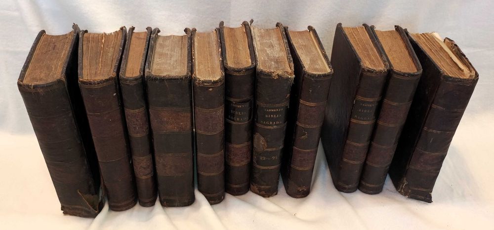 Coleção Bíblica Século XIX - Tomos Antigo e Novo Testamento (Porto)
